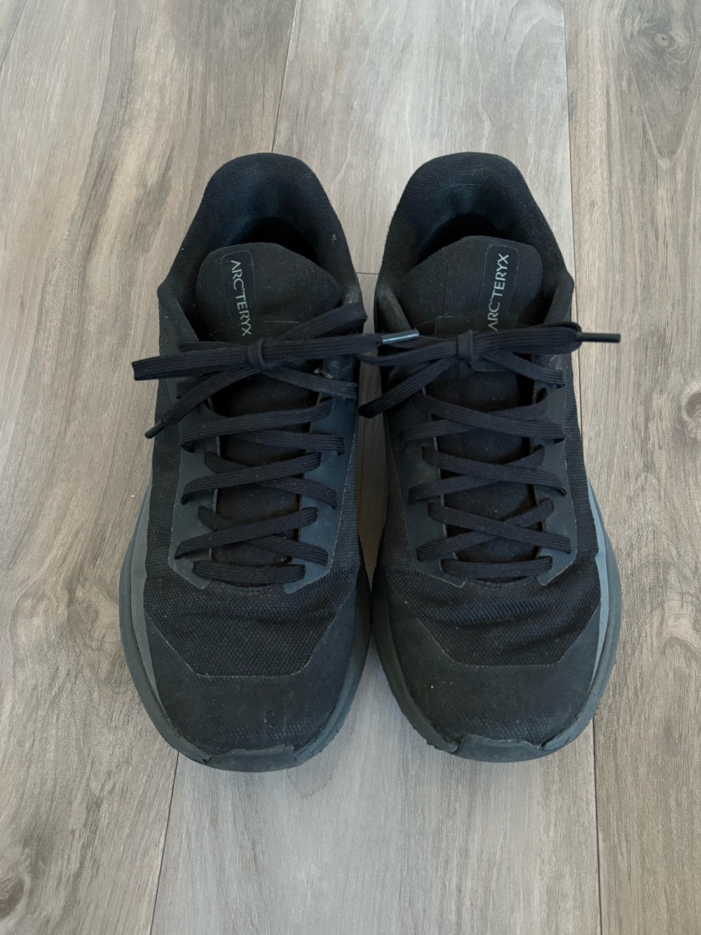 Arc’teryx Norvan LD 4